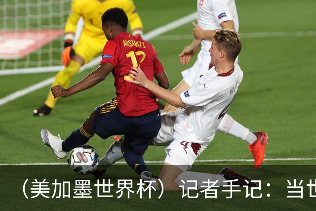 （美加墨世界杯）记者手记：当世界杯再遇上大熊猫